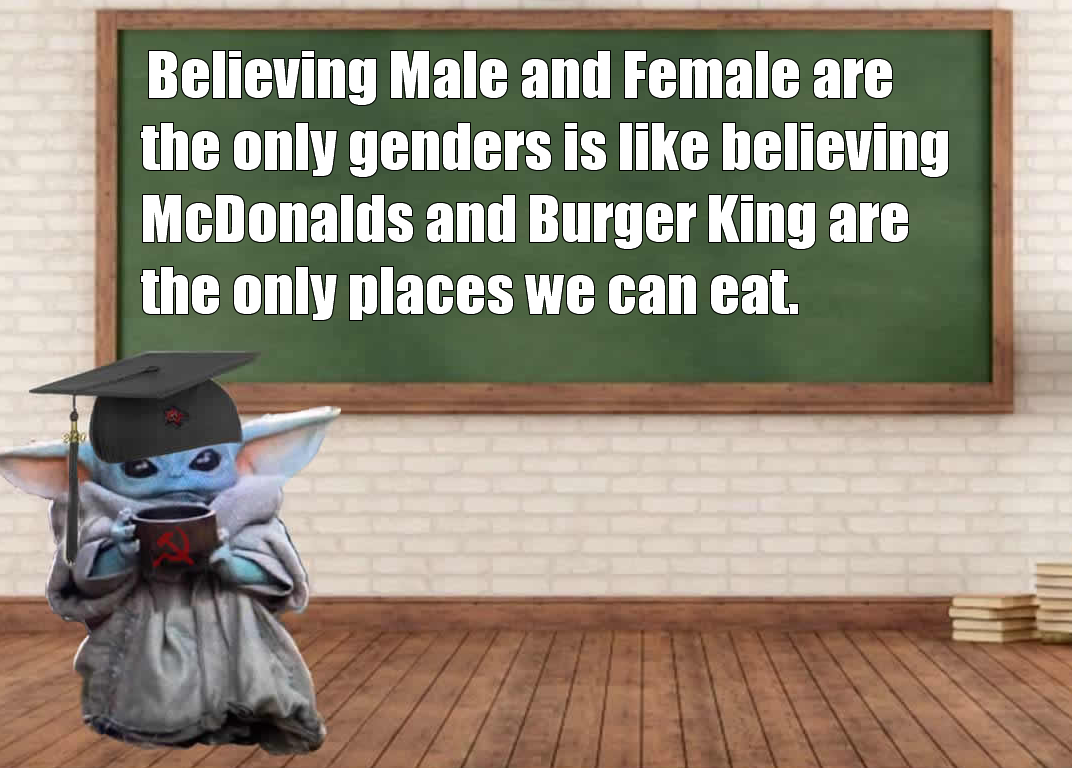 This meme is a humorous take on the idea that people often believe in things that are not supported by evidence. The image features a character from the Star Wars franchise, Yoda, with a caption that reads: "Believing Male and Female are the only genders is like believing McDonald's and Burger King are the only places we can eat." The meme is poking fun at the idea that some people believe in strict binary gender identities, and that this is similar to believing that only two specific restaurants are the only options for food.